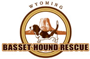 Wyoming Basset Hound Rescue and Adoption